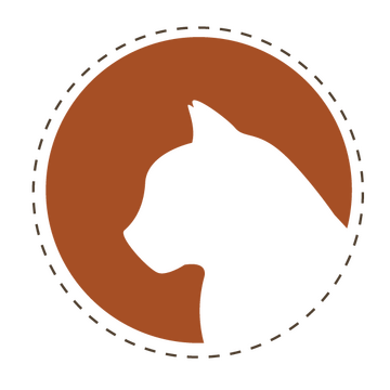 Cat health Cat health